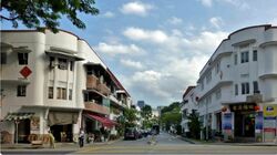 Tiong Bahru Estate (D3), Shop House #589183861